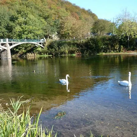 La Truite A Mouzaive